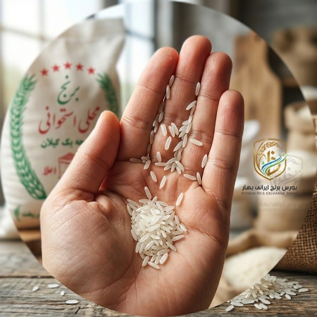 برنج ایرانی محلی استخوانی گیلان اعلاء